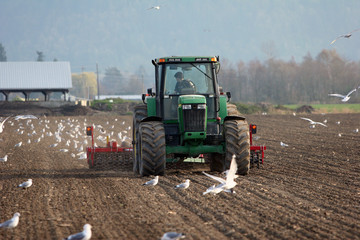 spring seeding