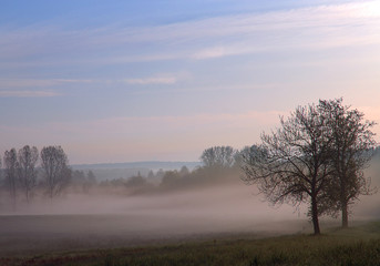 Fototapeta na wymiar brouillard