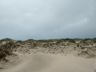 beach dune