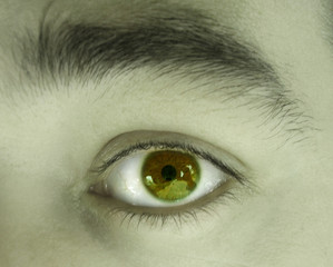 ojo asustado 2