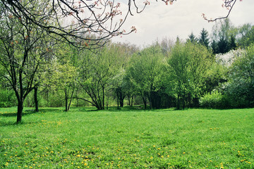 a park view