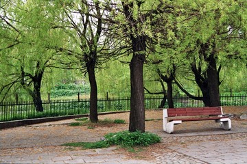 a bench in the park