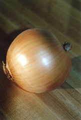 vidalia onion