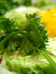 spring   vegetables
