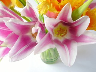 Fototapeta na wymiar bukiet różowych tulipanów