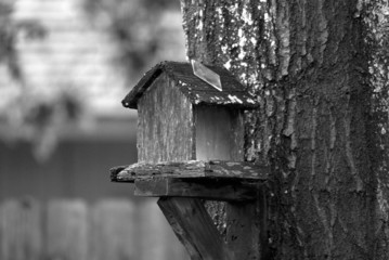 bird house