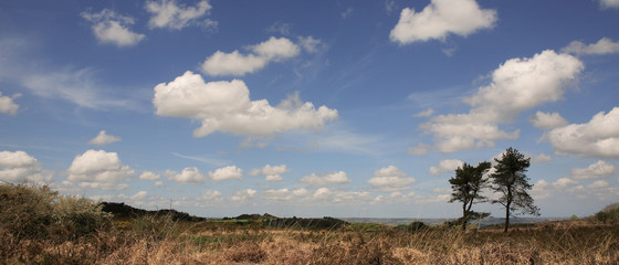 la steppe