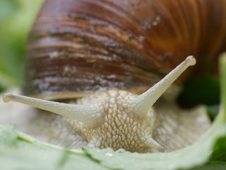 i go something to eat