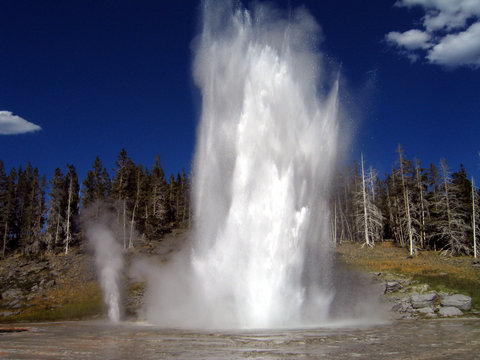 grand geyser yellowstone