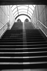 Fototapeta premium stairs in black and white
