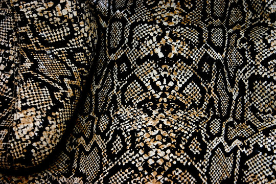 Snakeskin