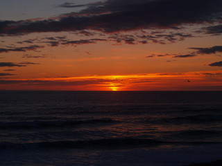 Obraz na płótnie Canvas oregon sunset