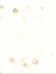 stained blotting paper