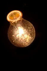 light bulb on black