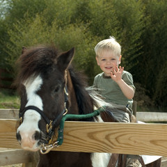children with pony