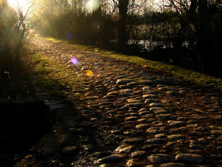 stone path on morning light