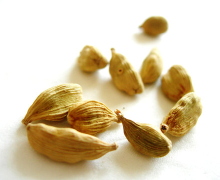 210 BEST Cardamone IMAGES, STOCK PHOTOS u0026 VECTORS Adobe Stock