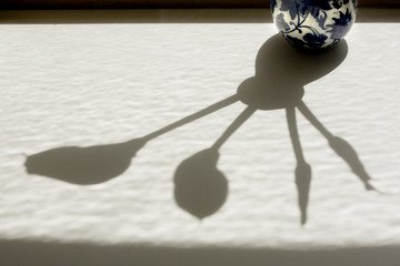 vase in shadows