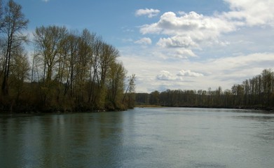 Fototapeta premium snohomish river