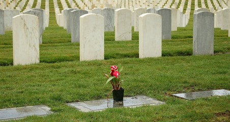 pomnik poległych żołnierzy - 642960