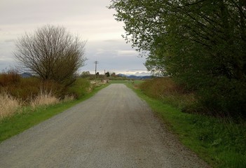 country road - 642972