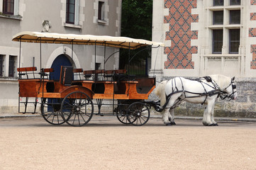 promenade en calèche