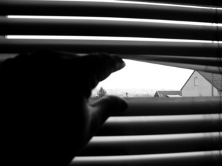 observation