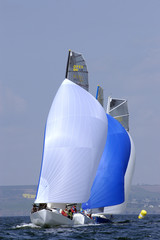 regate 3 © saintho
