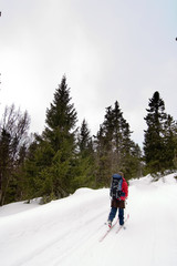 skiing in winter