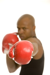 knock out glove in focus