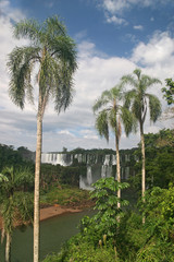 tropical falls