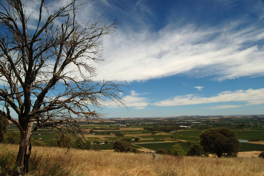 outback tanunda
