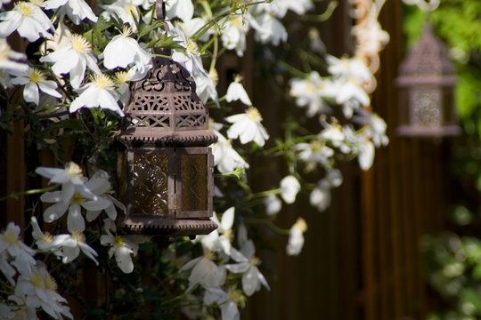 garden lamp with climatis