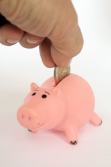 cochon et argent