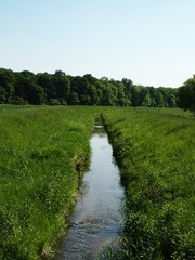 Obraz premium bach und wiese