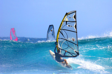 windsurf