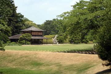 japanese garden