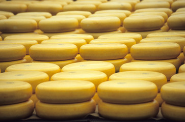 say cheese © Alison Cornford