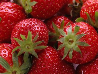 erdbeeren 1