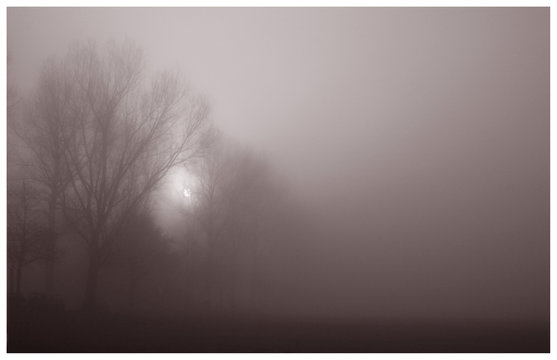 nebel
