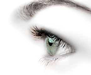oeil