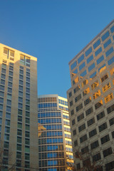 Fototapeta na wymiar downtown office buildings