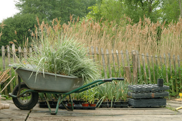 travaux de jardinage