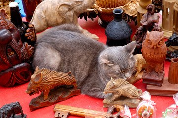 cute funny gray cat sleeping among antique decor objects