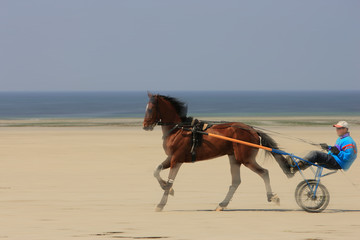 trotteur sur la plage