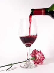 pouring wine carnation