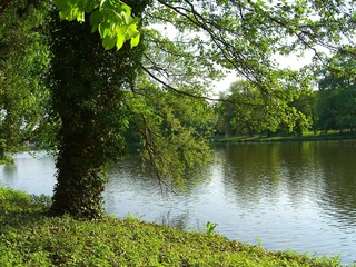 seeblick (2)