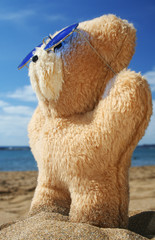 osito playero