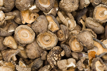 dried mushrooms