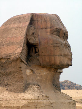 Sphinx Head